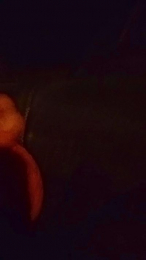 20dipassione webcam model stream image