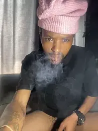 BlueIceCube webcam model stream image