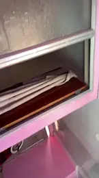 Geminis_m webcam model stream image