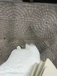 Meii-meyy webcam model stream image