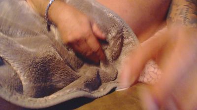 born2bewild3 webcam model stream image