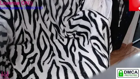 sweet_cute_cat webcam model stream image