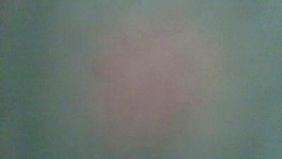 Lollaloba webcam model stream image