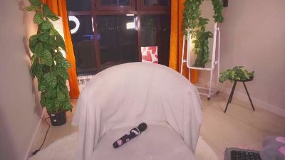 lime_vine webcam model stream image