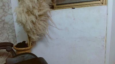 hares_mds webcam model stream image