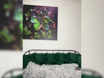 SophieNude webcam model stream image