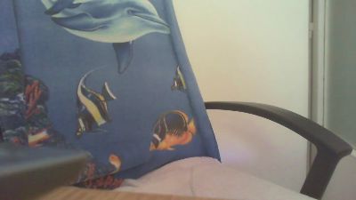 laparki webcam model stream image