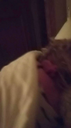 Romanodoc78 webcam model stream image