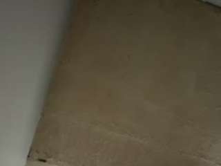 bigmixedshit webcam model stream image