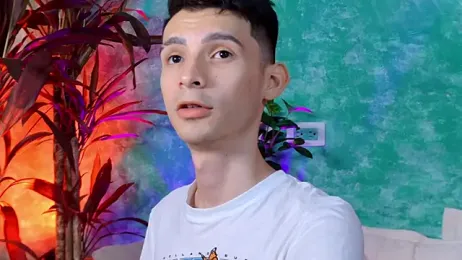 VicenteFerrer webcam model stream image