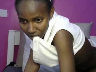 nai-ir webcam model stream image