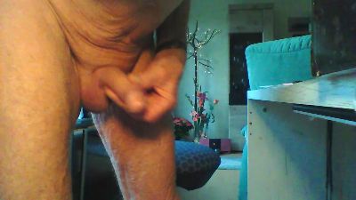 Liebherr66 webcam cam4 model stream image