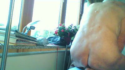 Liebherr66 webcam model stream image
