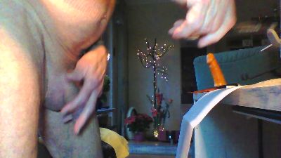 Liebherr66 webcam model stream image