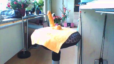 Liebherr66 webcam model stream image