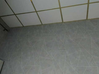 Hi-Karu webcam model stream image