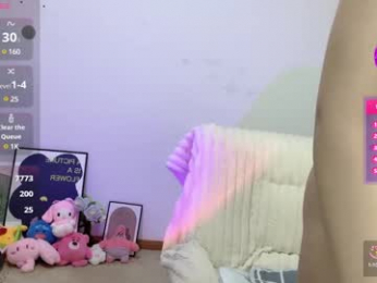 _flipped_ webcam model stream image
