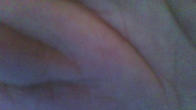 cerdopassivo webcam model stream image