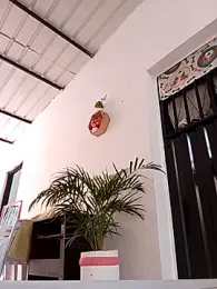 TRANSCOLOMBIA webcam model stream image
