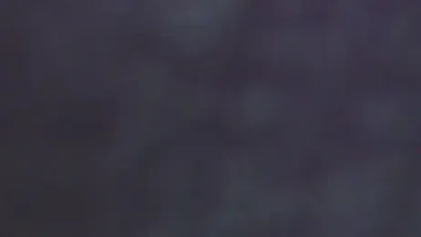leslieanddrako webcam model stream image