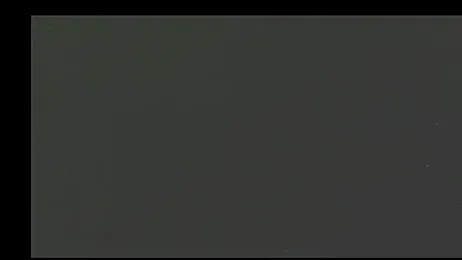 FJcouple webcam model stream image