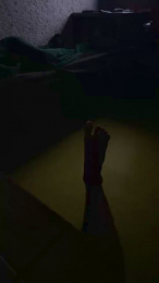 Secretflp webcam model stream image