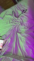 BeardedDragon webcam model stream image