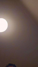 hectorhot8 webcam cam4 model stream image