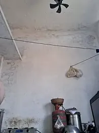 RAYI_Queen_3 webcam model stream image