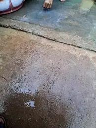 RAYI_Queen_3 webcam model stream image