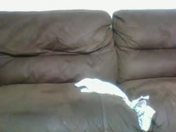 longhairedfreak1921 webcam model stream image