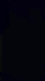 dido135 webcam model stream image