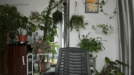 Oliver_Nl webcam stripchat model stream image