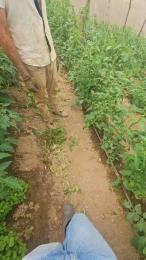 jo23_xxx webcam model stream image