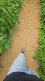 jo23_xxx webcam model stream image