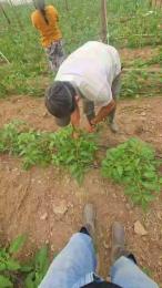 jo23_xxx webcam model stream image