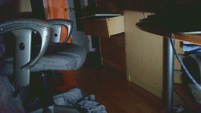 beausim3 webcam model stream image