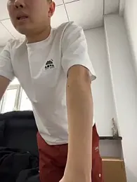 ccss28c webcam model stream image