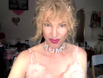 pinkfag webcam model stream image