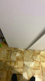 analflo webcam model stream image