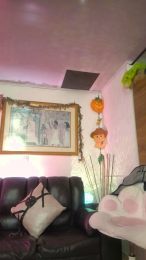 LaurenJGray webcam model stream image