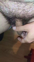 erbcn webcam model stream image