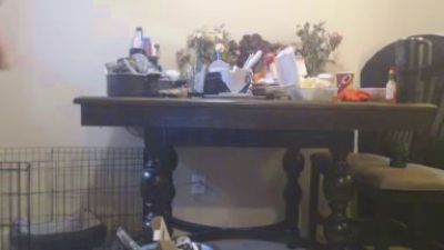 Jenniferbardot webcam model stream image