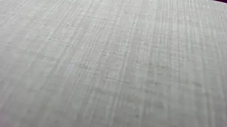 AishaRouhi webcam model stream image