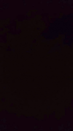 Ositaapanda webcam model stream image