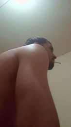 napolitano231 webcam model stream image