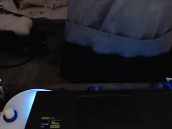 lushcutie webcam model stream image