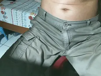 triangle0623 webcam model stream image