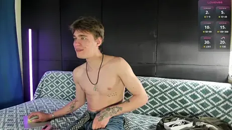 dabartmoss webcam model stream image