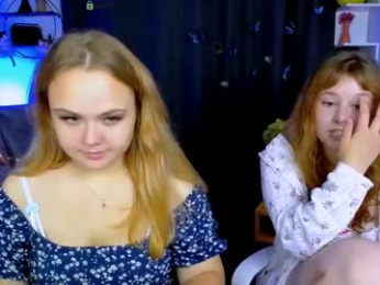 niri_vex webcam model stream image